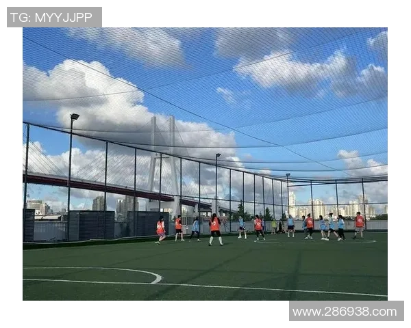 广州飞盘队转换打法深度分析与战术解析全景展示