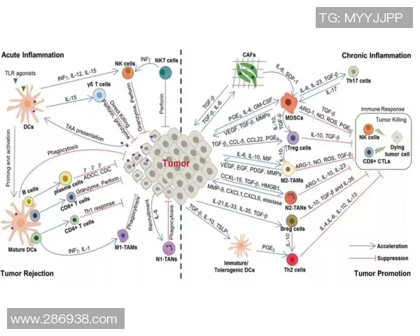 重庆排球队意识表现分析：数据揭示团队协作与个人能力的关系