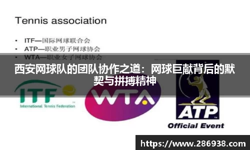 西安网球队的团队协作之道：网球巨献背后的默契与拼搏精神